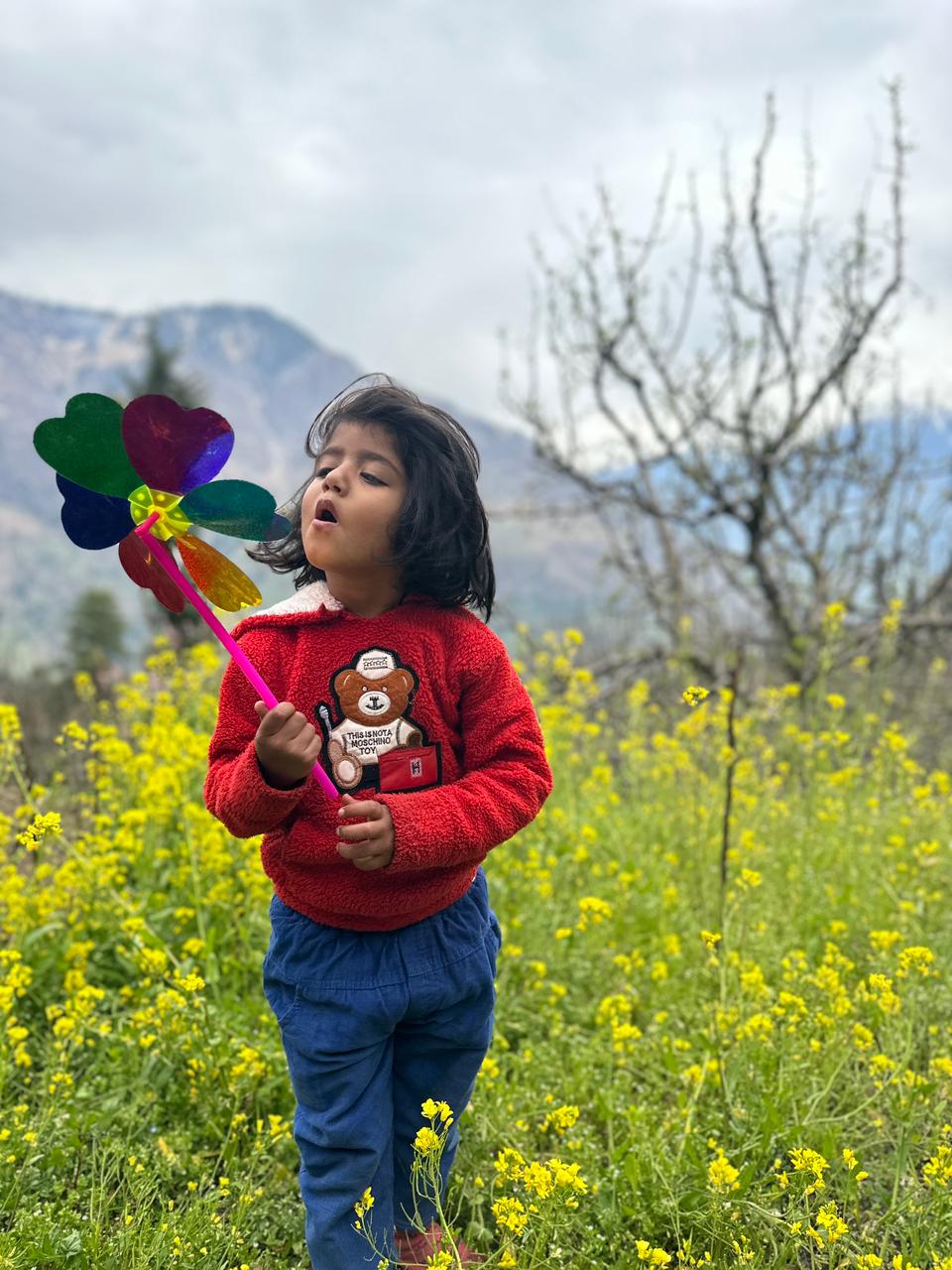Child with pinwheel in mustard fields