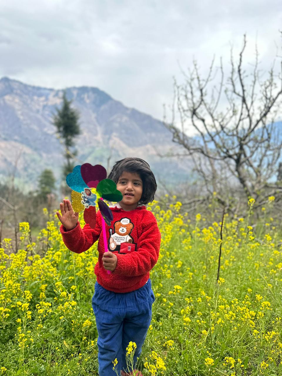 Waving hello in the fields