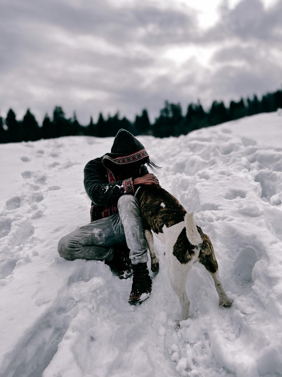 Snow moments with a mountain dog