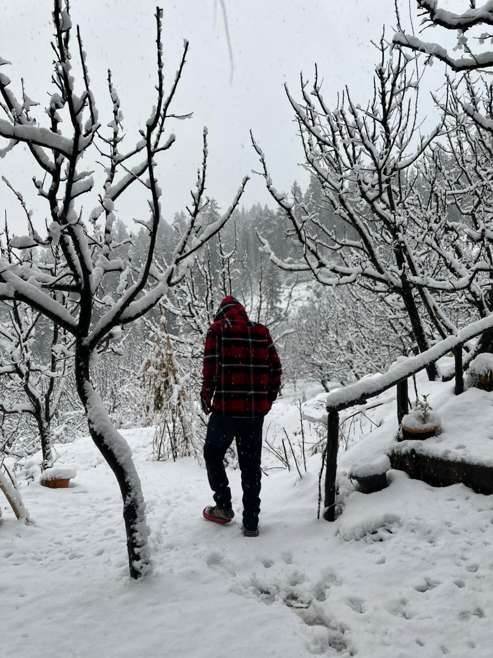 Walking in Snowfall