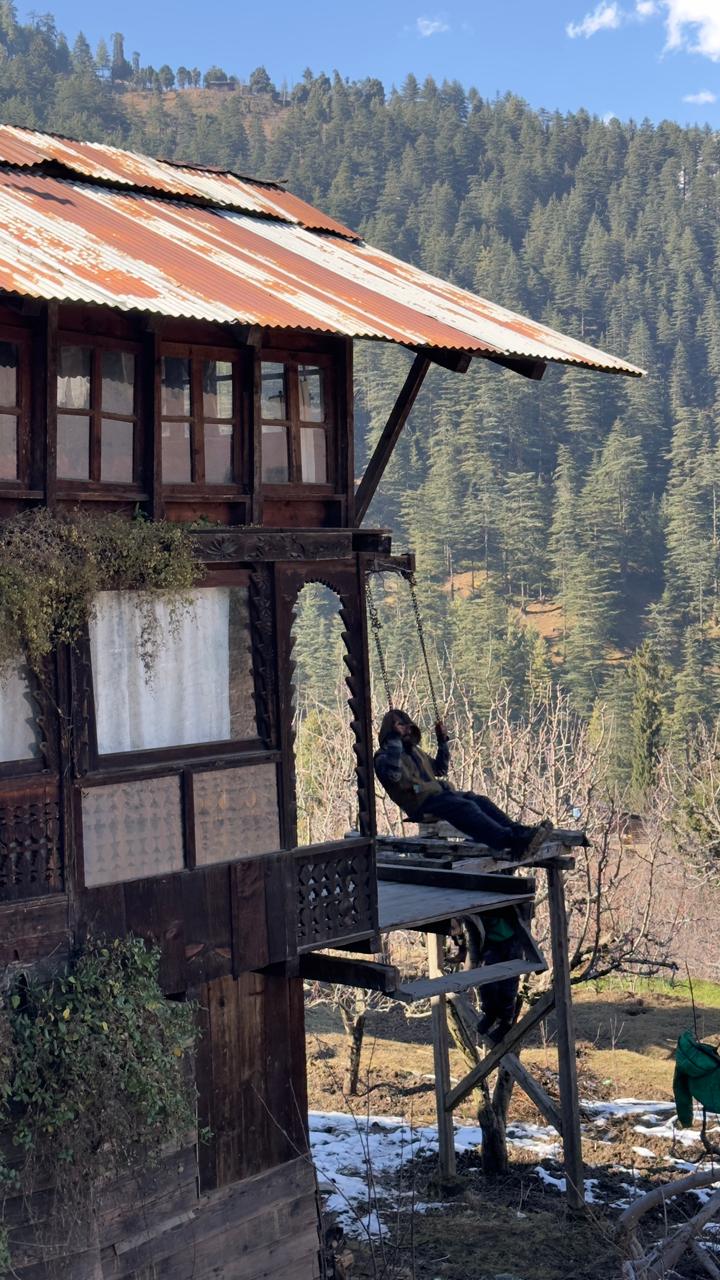 Swing at the Old Wooden House